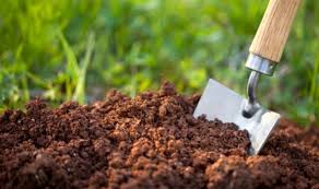 Soil health card helps boost farm income: Study