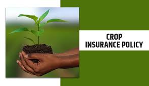 By making crop insurance optional for farmers, has the Centre effectively ended the scheme? -Siraj Hussain