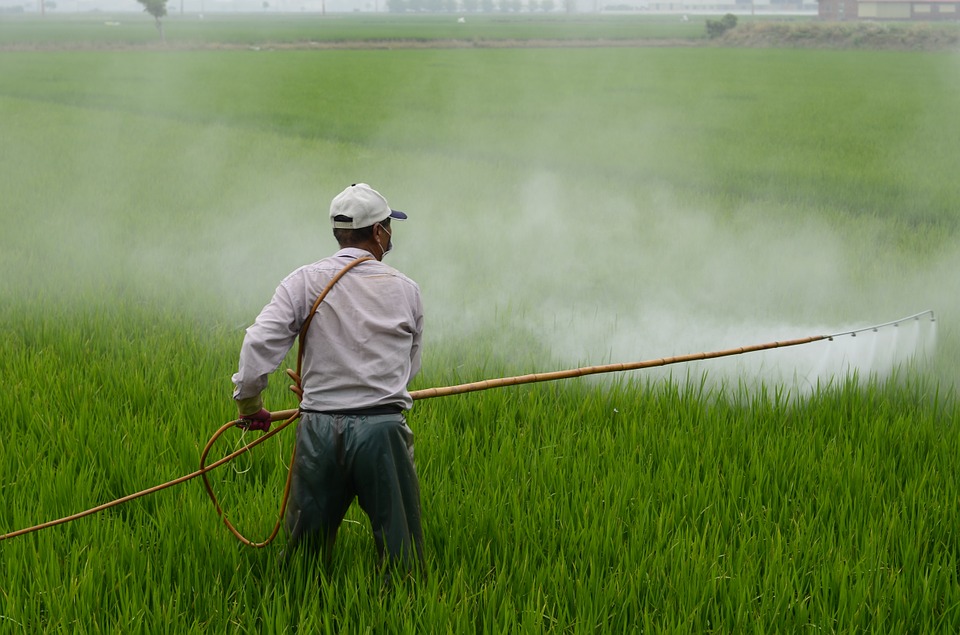 The hazards of pesticides -Devinder Sharma